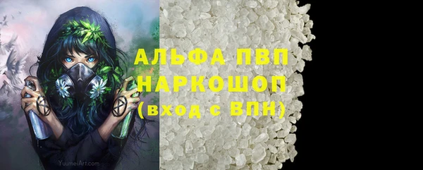 стафф Новокубанск