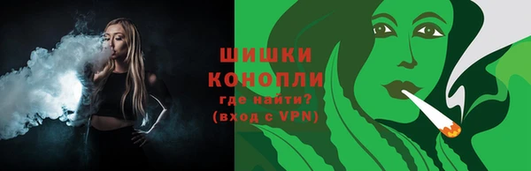 PSILOCYBIN Новодвинск