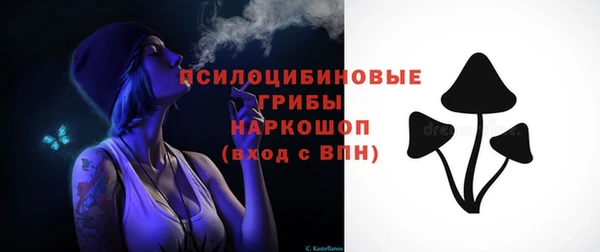 стафф Новокубанск