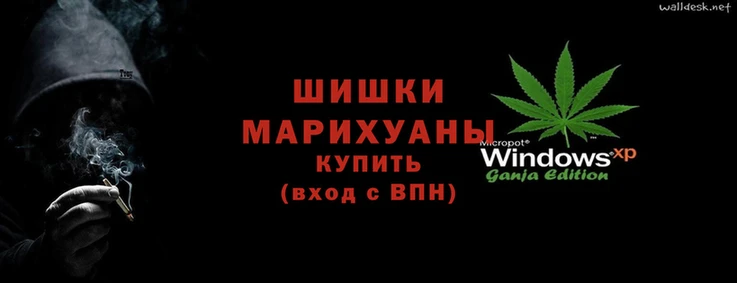 стафф Новокубанск