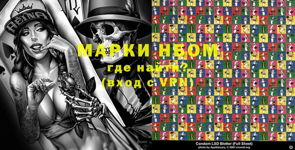 стафф Новокубанск