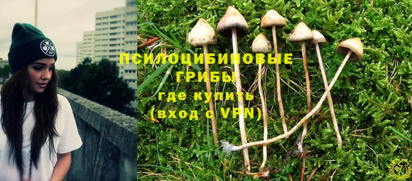 PSILOCYBIN Новодвинск