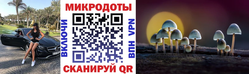купить наркоту  Анадырь  Псилоцибиновые грибы Magic Shrooms 